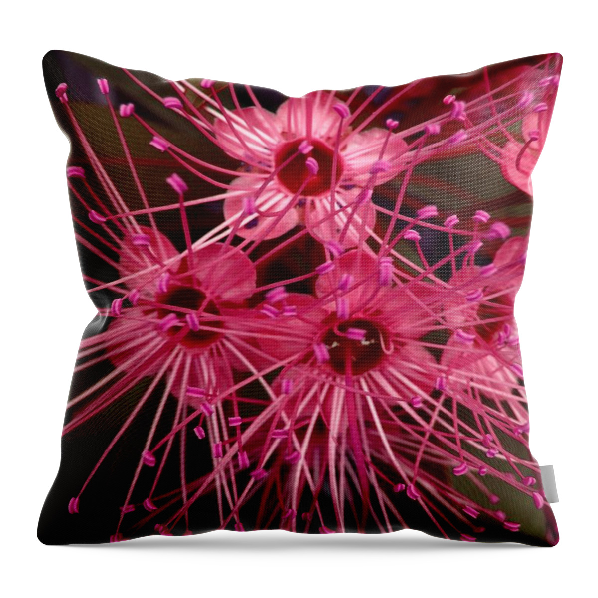 Flower Throw Pillow featuring the photograph Stars by Michelle Meenawong