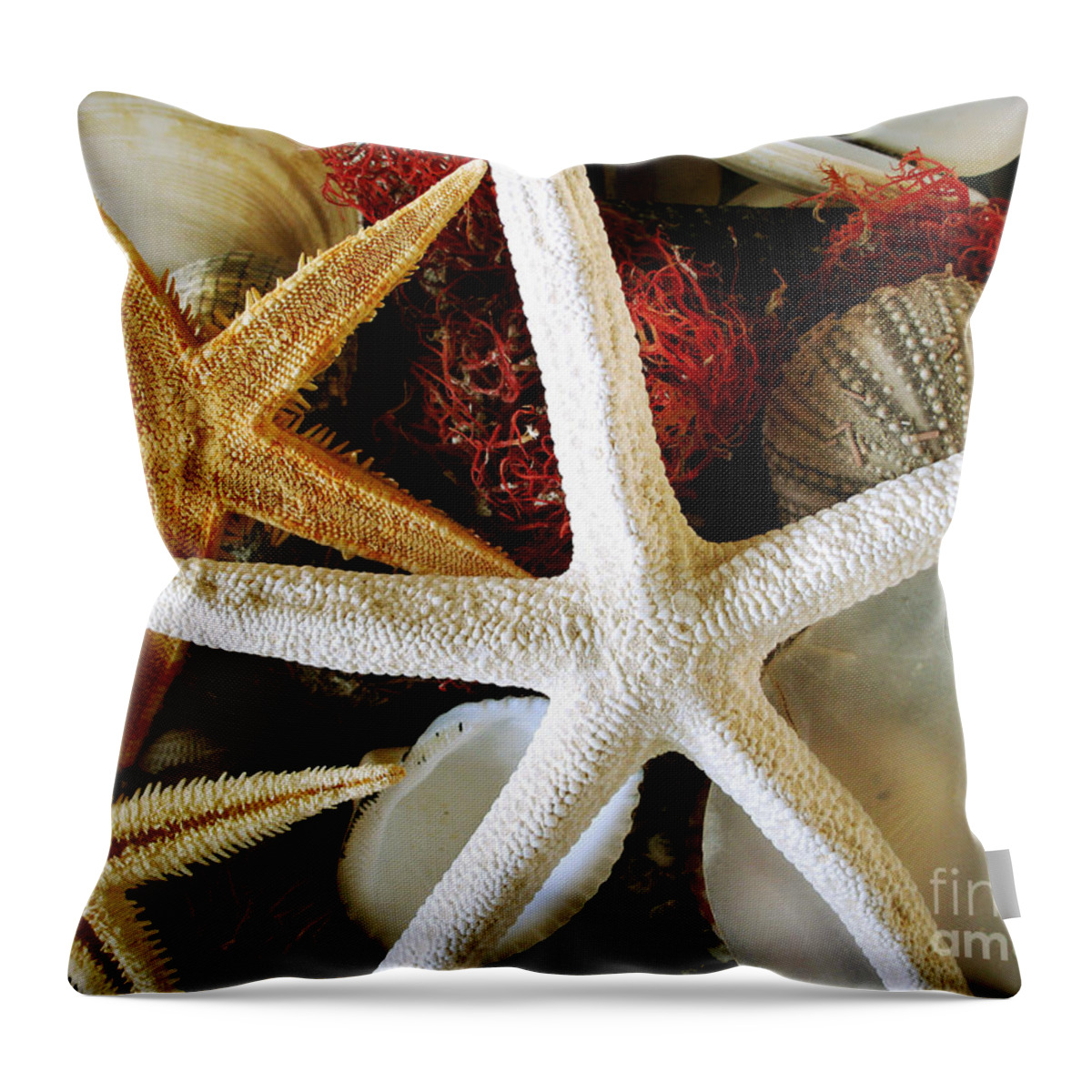 Starfish Throw Pillow featuring the photograph Stars of the Sea by Colleen Kammerer