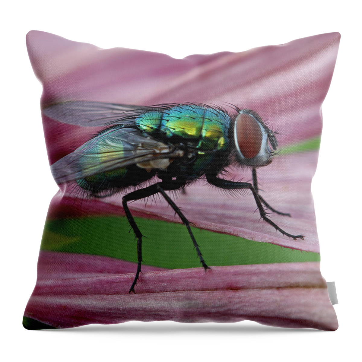Fly Throw Pillow featuring the photograph Start Your Engines by Juergen Roth