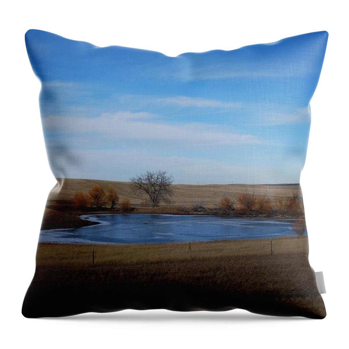 Dakota Throw Pillow featuring the photograph Starting to Ice Over by Greni Graph