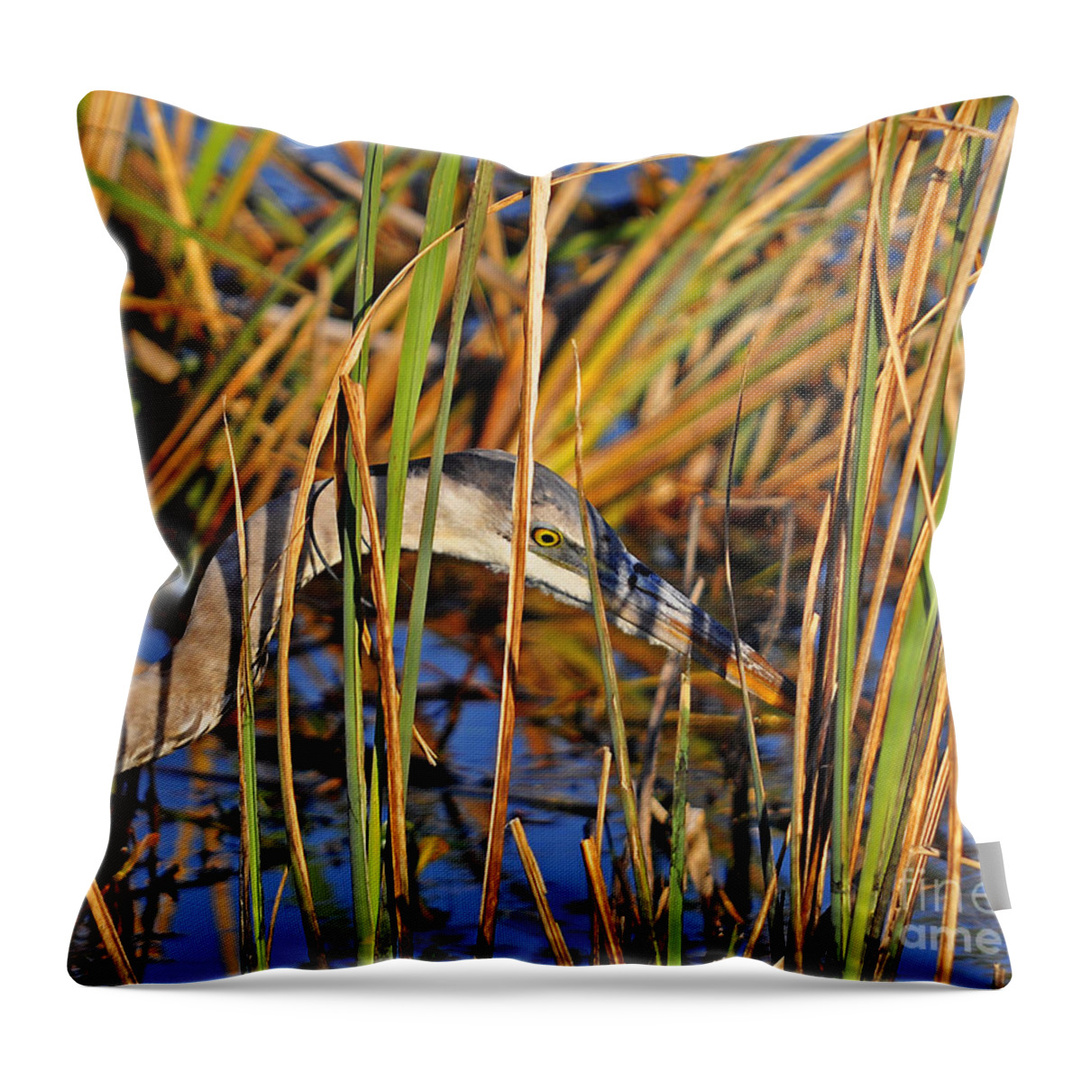 Heron Throw Pillow featuring the photograph Stealthy Stalker by Al Powell Photography USA