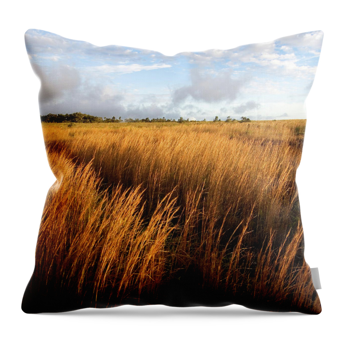 Hawaii Volcanoes National Park Throw Pillow featuring the photograph Steaming Bluff Landscape by John Elk
