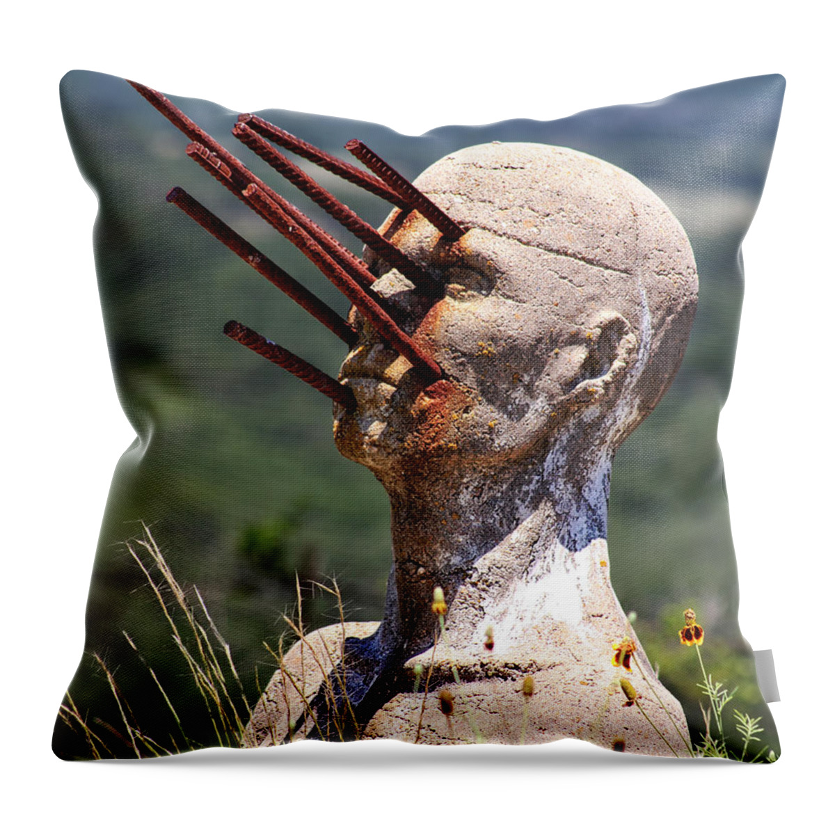 Steel Throw Pillow featuring the photograph Steel Vision by Daniel George
