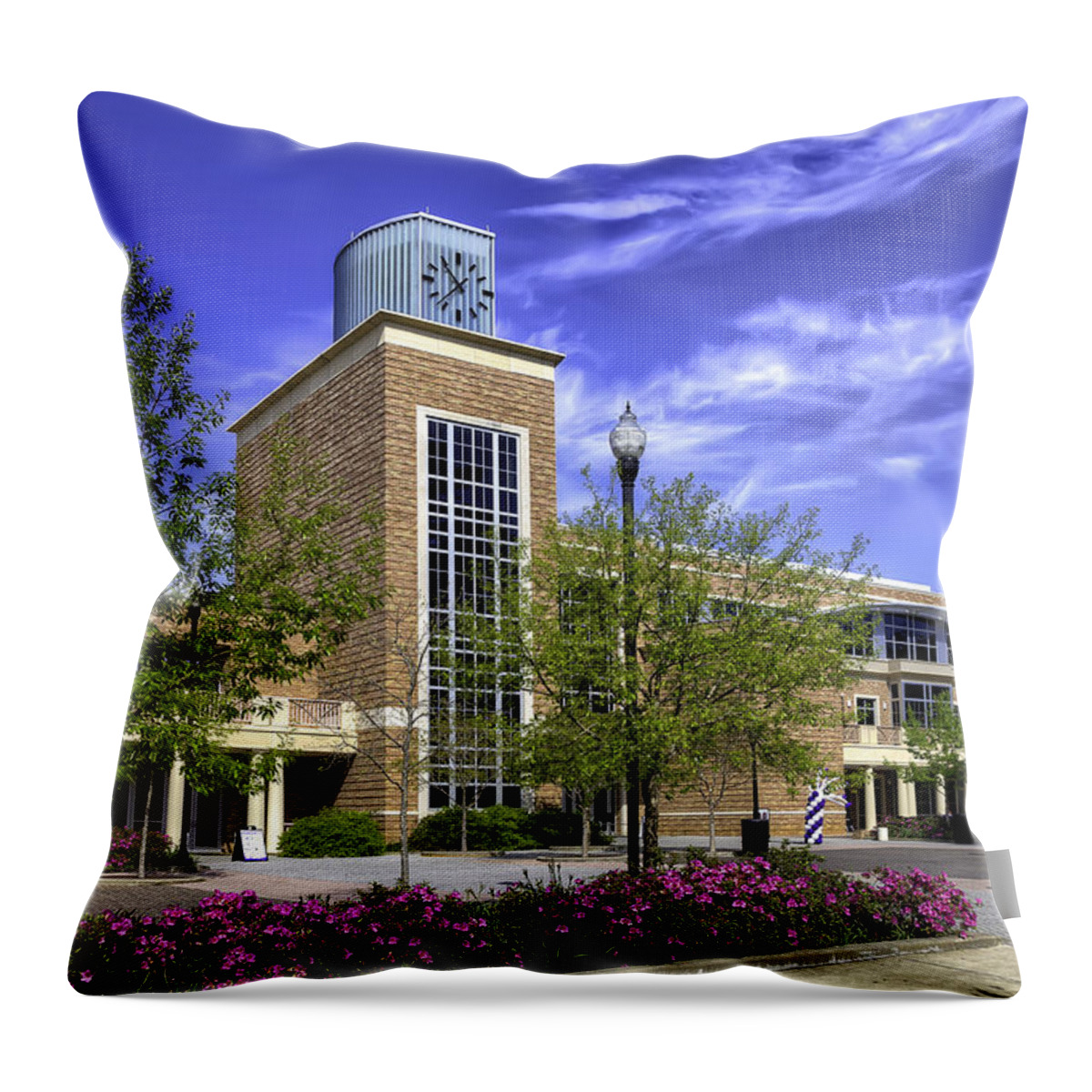 Tim Throw Pillow featuring the photograph Stephen F. Austin State University by Tim Stanley