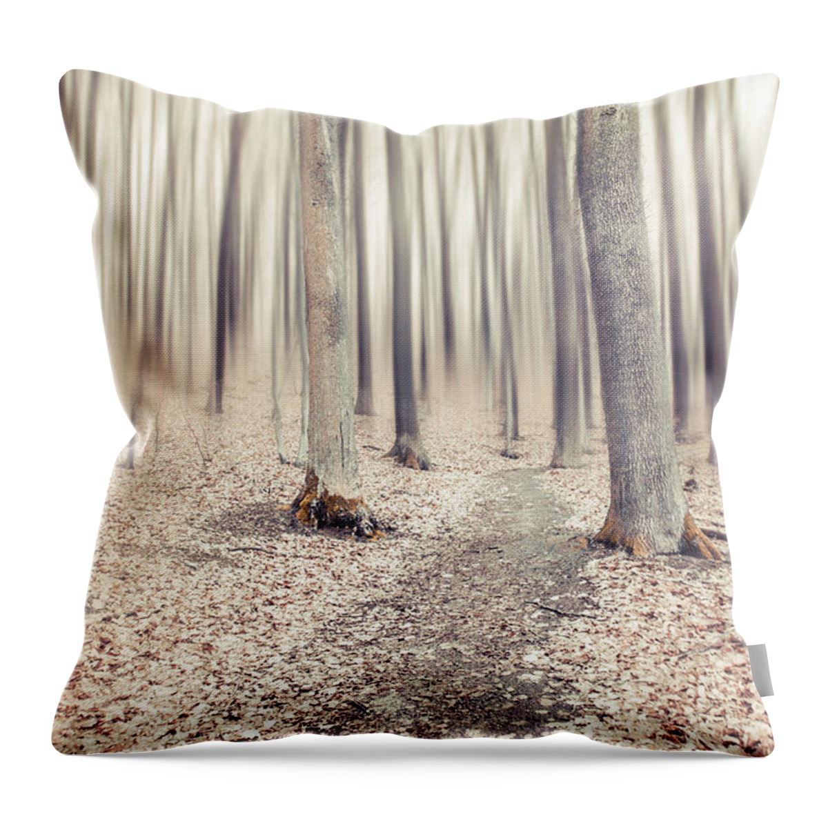 Autumn Throw Pillow featuring the photograph Steppin' Through The Last Days Of Autumn by Hannes Cmarits