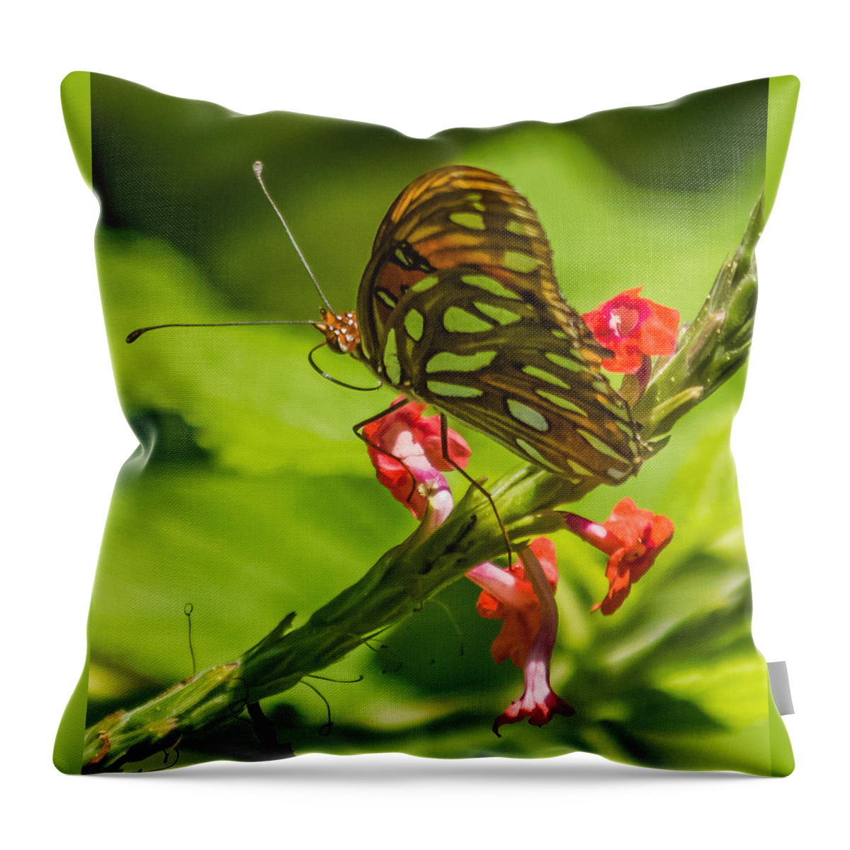 Butterfly Throw Pillow featuring the photograph Stepping carefully by Jane Luxton