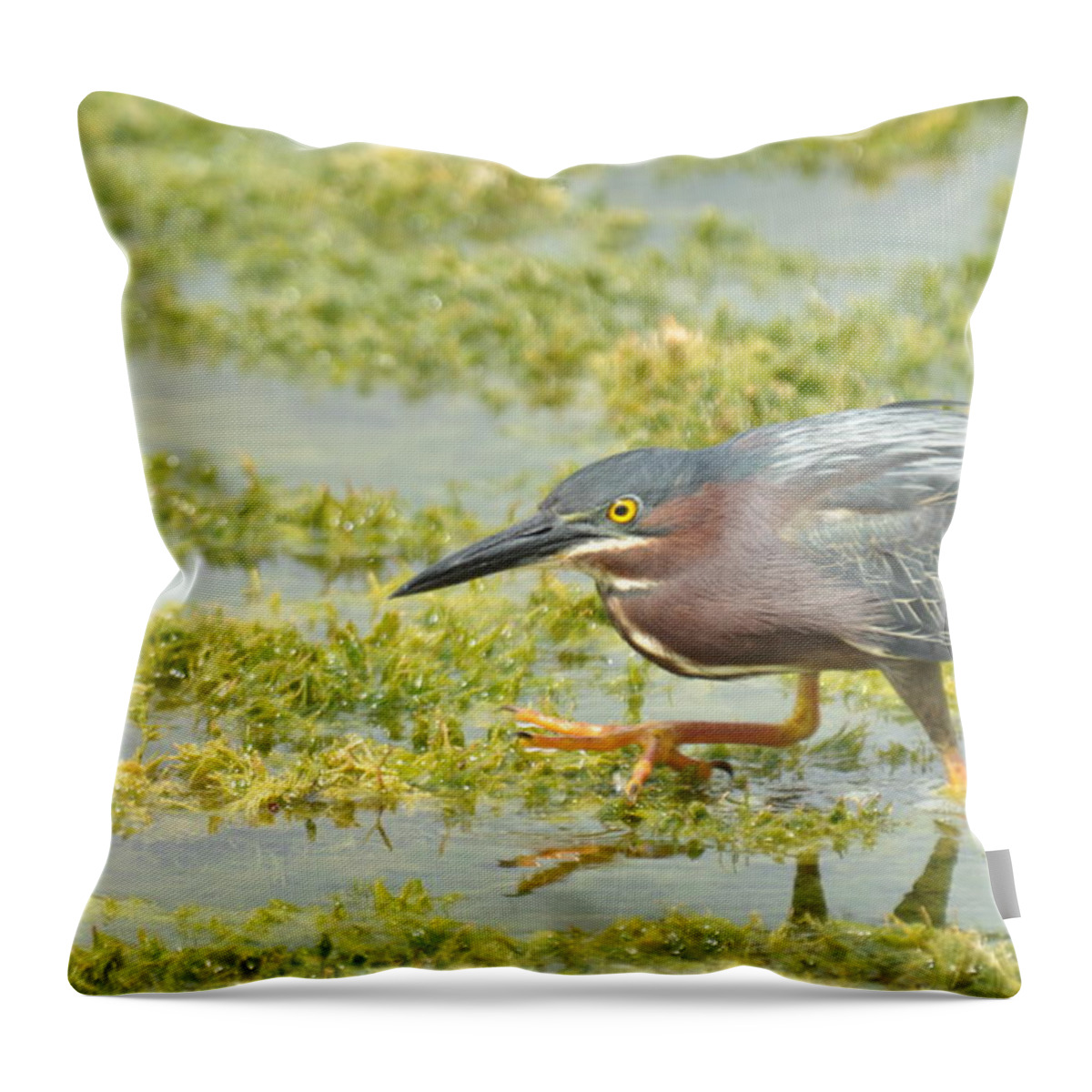 Green Throw Pillow featuring the photograph Stepping Out by Frank Madia