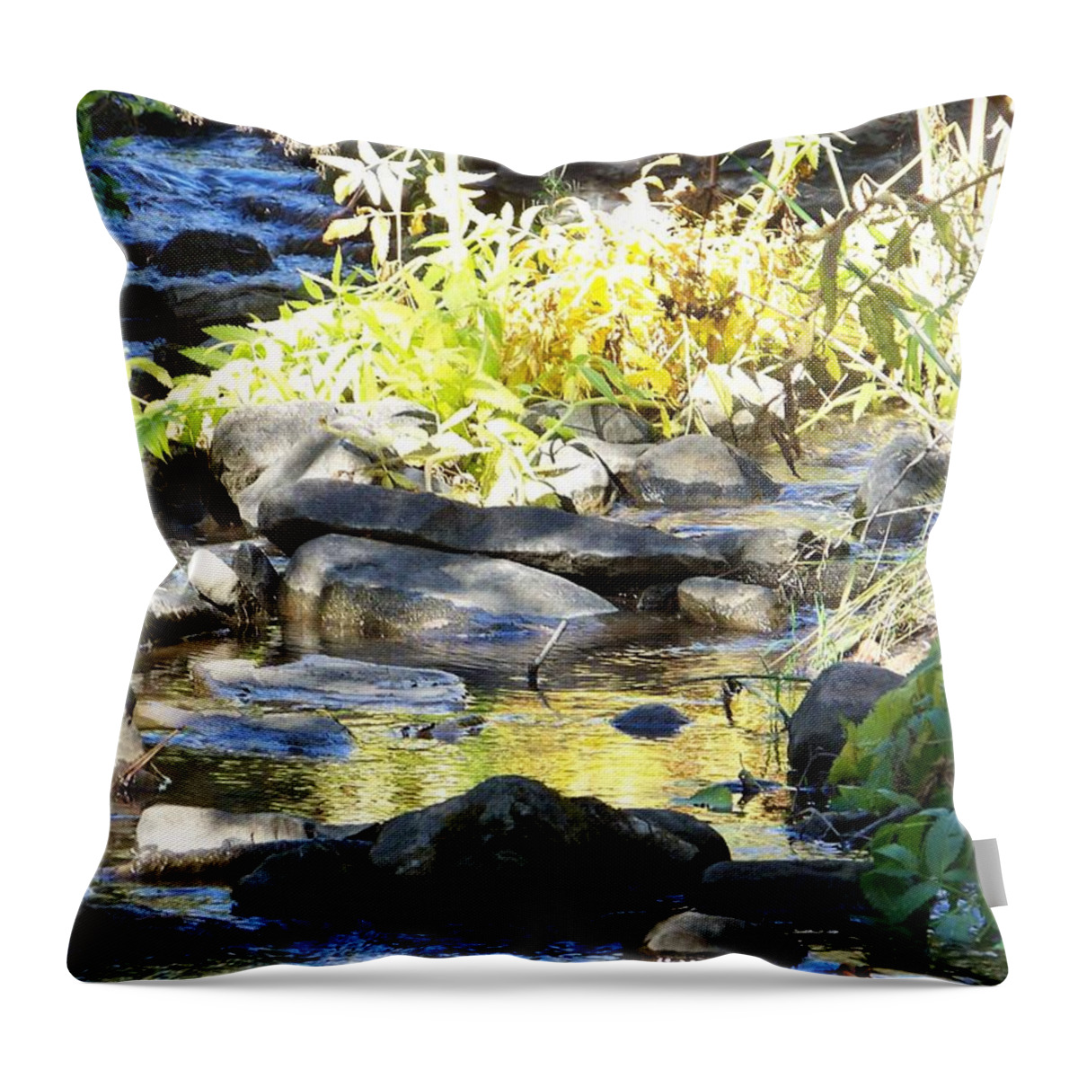 Stream Throw Pillow featuring the photograph Stepping Stones by Sheri Keith