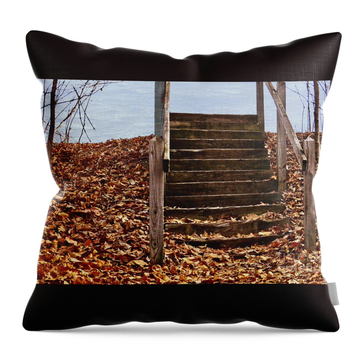 Nature Throw Pillow featuring the photograph Stairs In The Woods by Dawn Gari