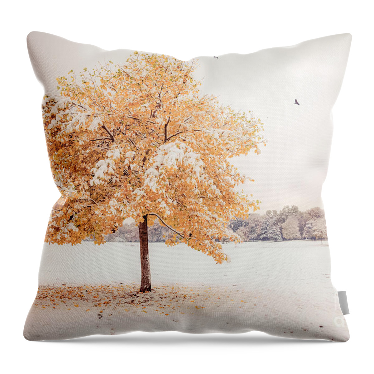 Autumn Throw Pillow featuring the photograph Still Dressed In Fall by Hannes Cmarits