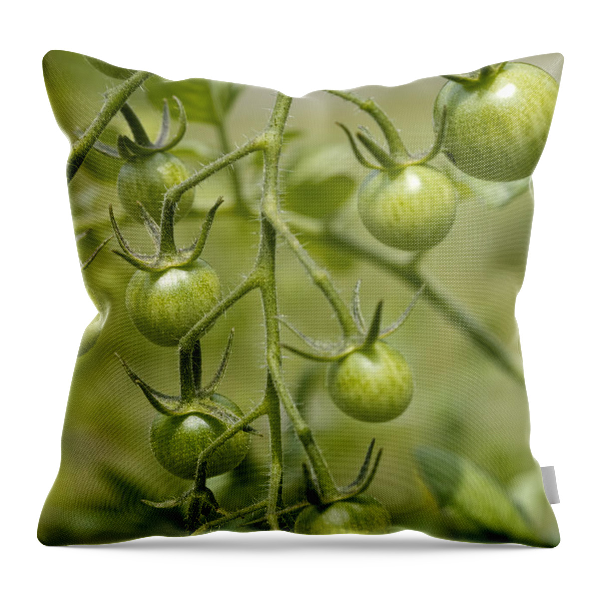 Green Throw Pillow featuring the photograph Still Green by Kathy Clark