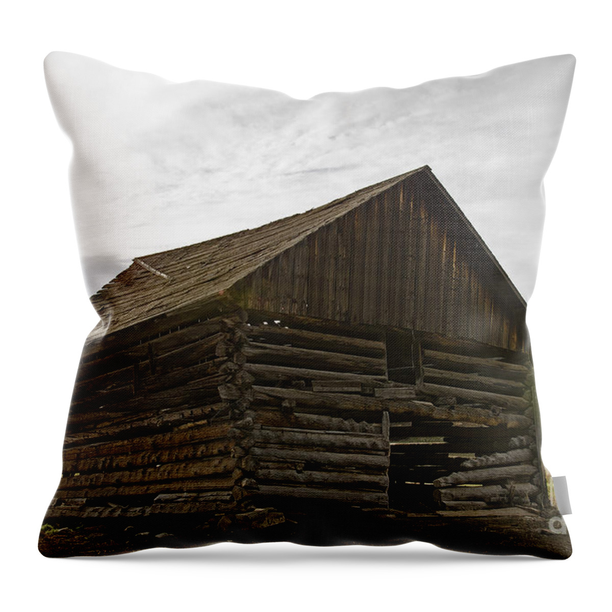Barn Throw Pillow featuring the photograph Still Standing in the Light by Kelly Black