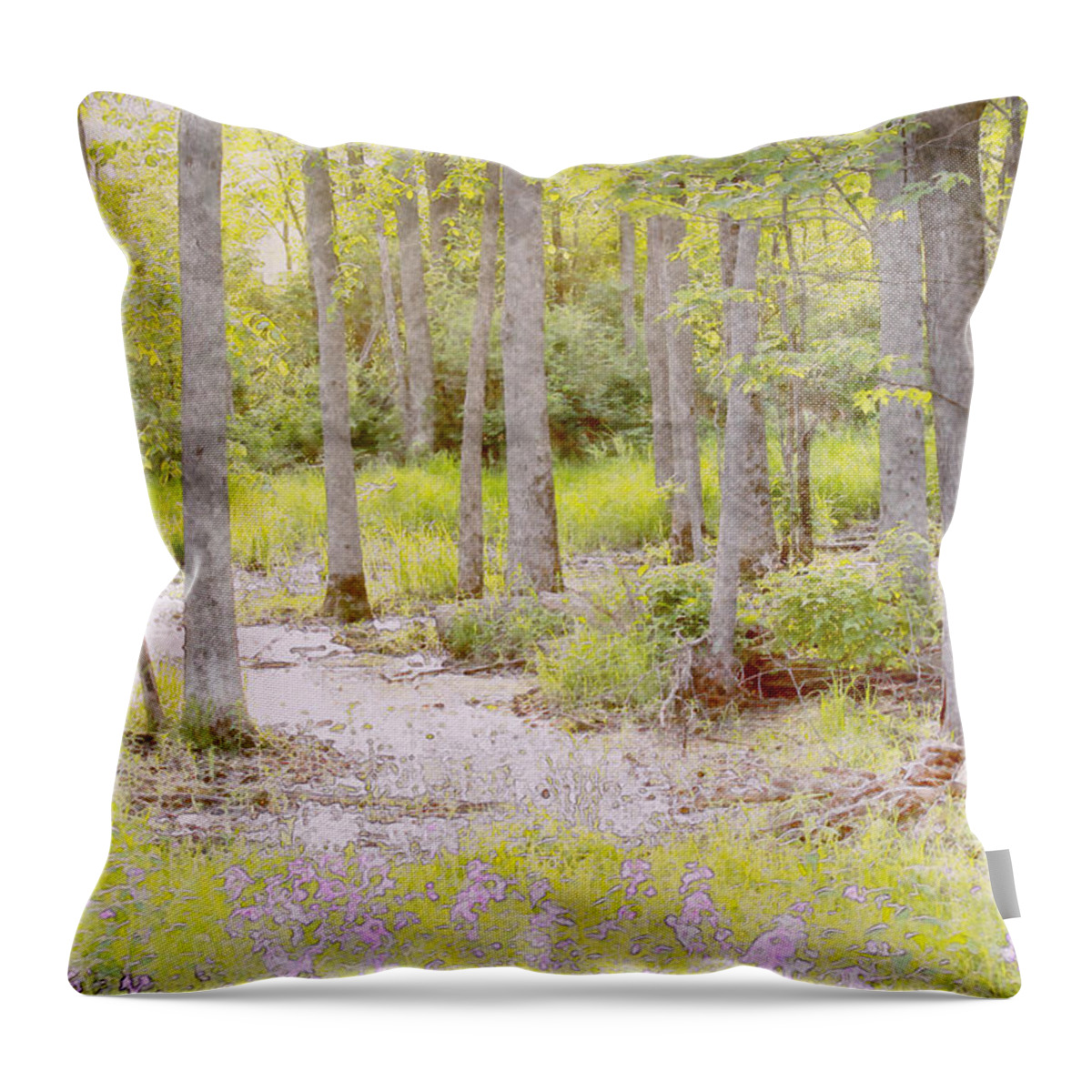 Landscape Throw Pillow featuring the photograph Still Water by David Stasiak