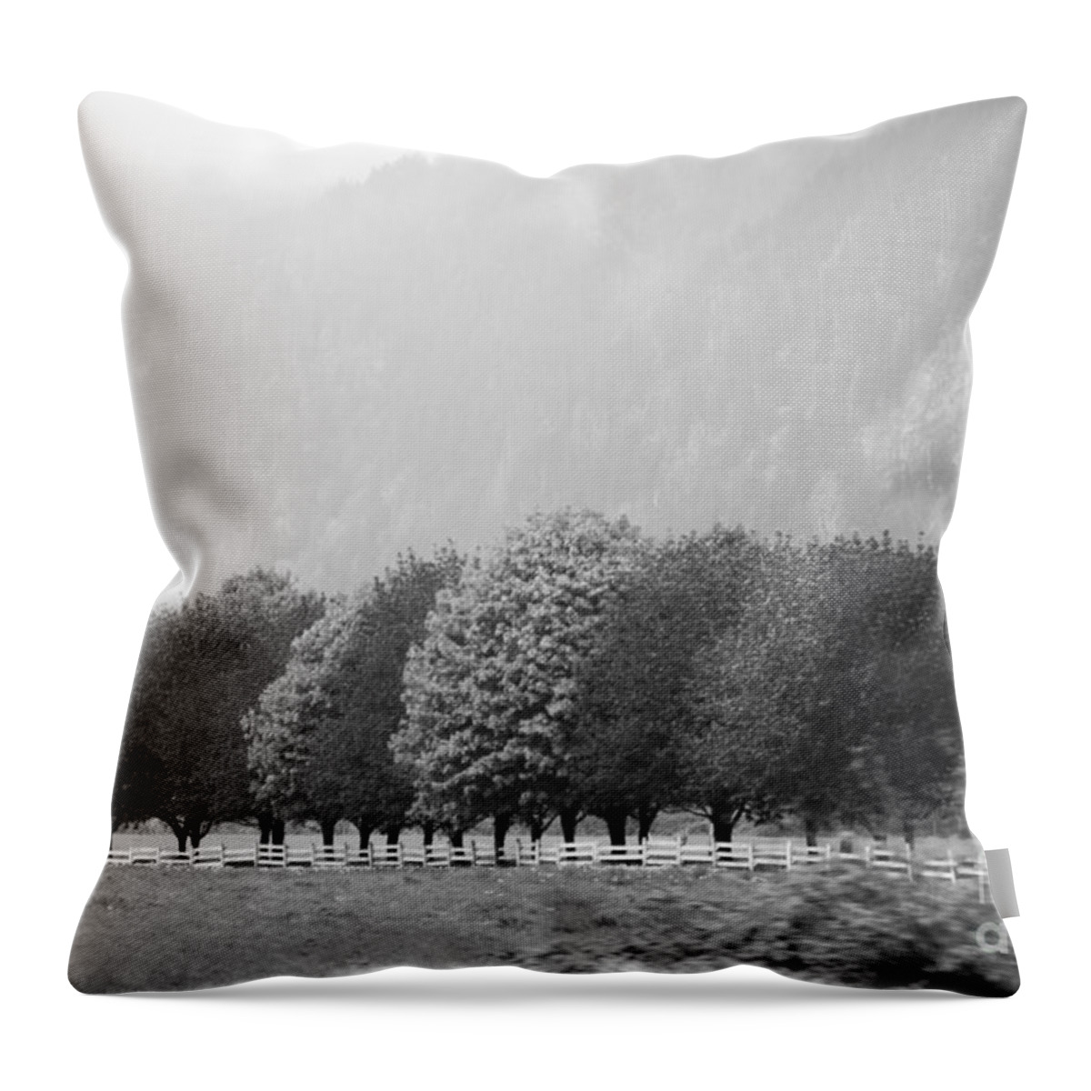 Stillness And Motion Throw Pillow featuring the photograph Stillness and Motion by Sandi Mikuse