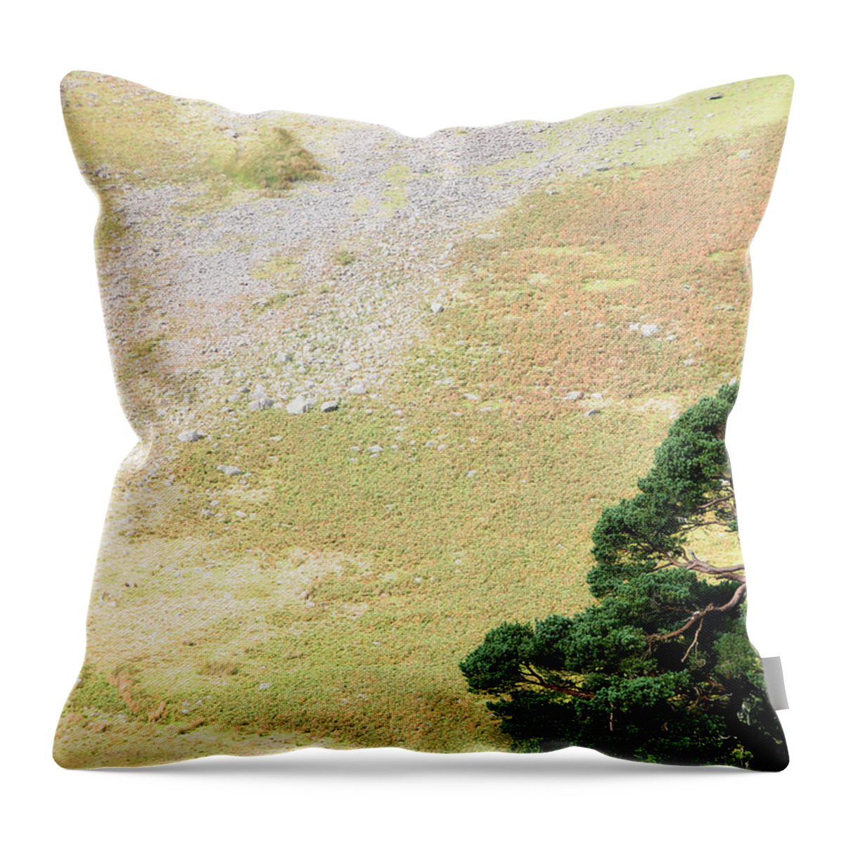 Ireland Throw Pillow featuring the photograph Stillness. Wicklow Mountains. Ireland by Jenny Rainbow