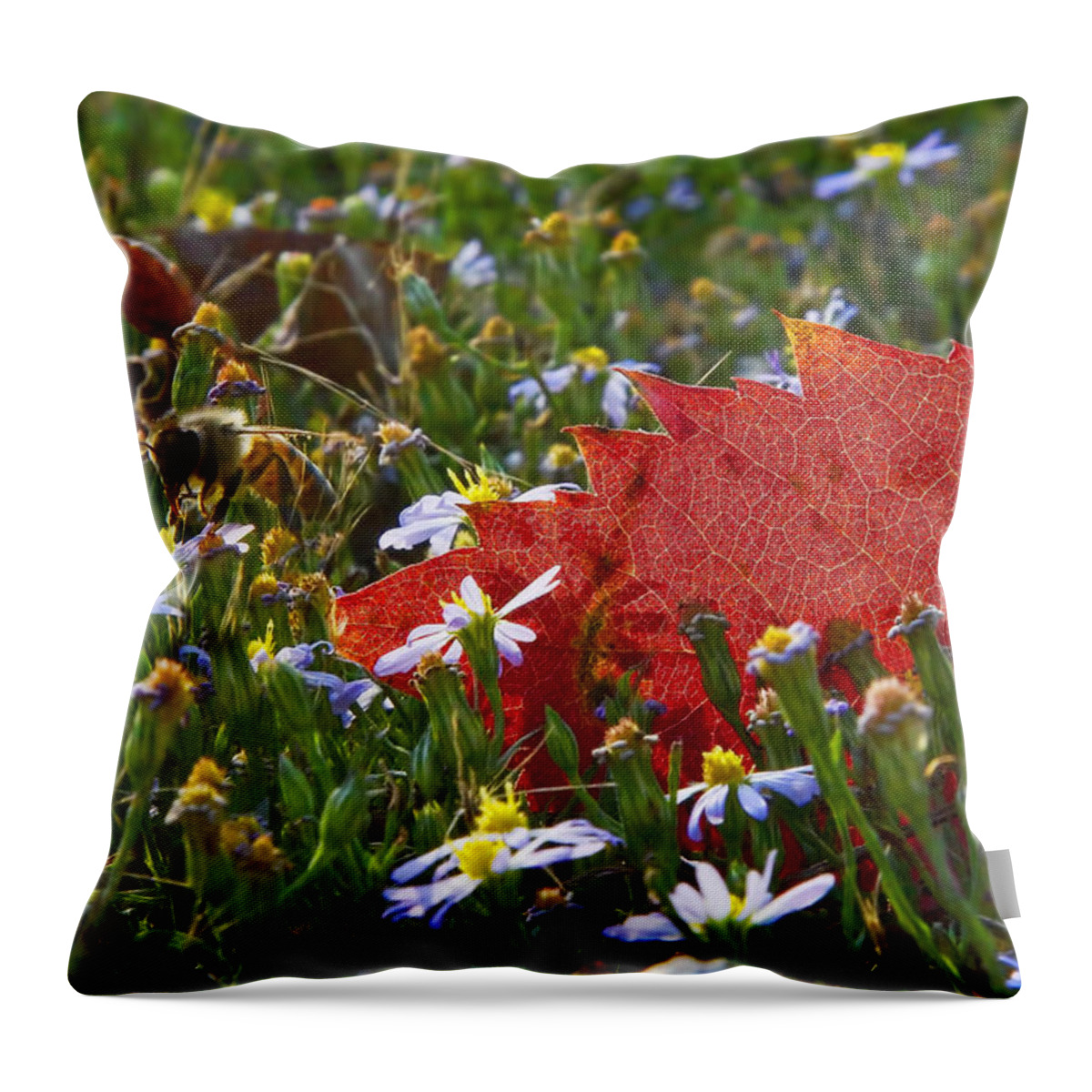 Winter Throw Pillow featuring the photograph Stocking Up for the Winter by Gary Holmes