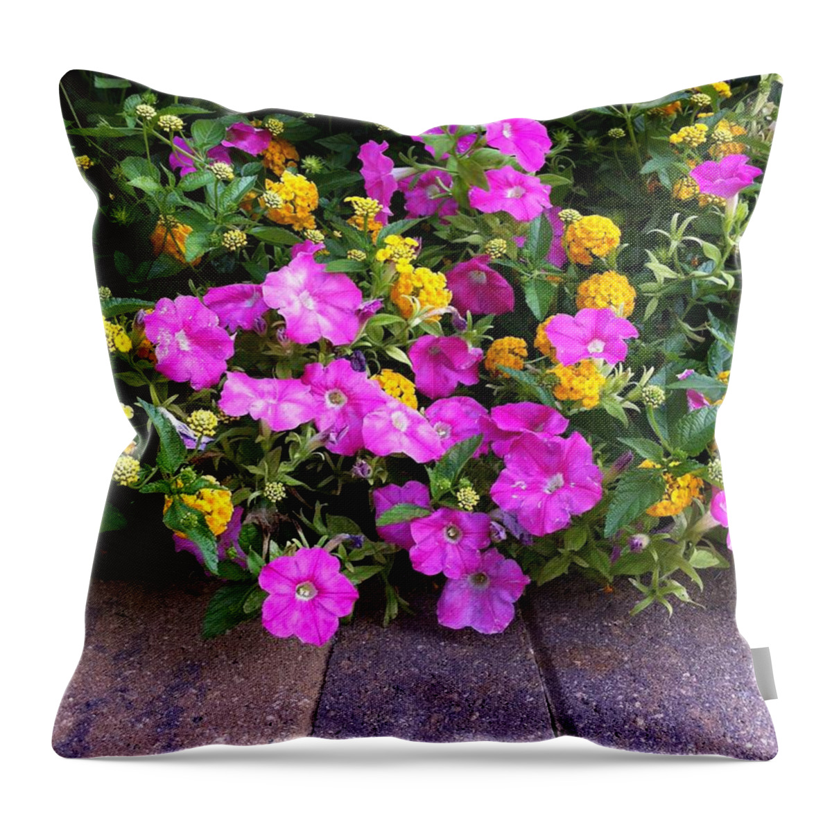 Flowers Throw Pillow featuring the photograph Stop And Smell The Flowers by Matthew Seufer