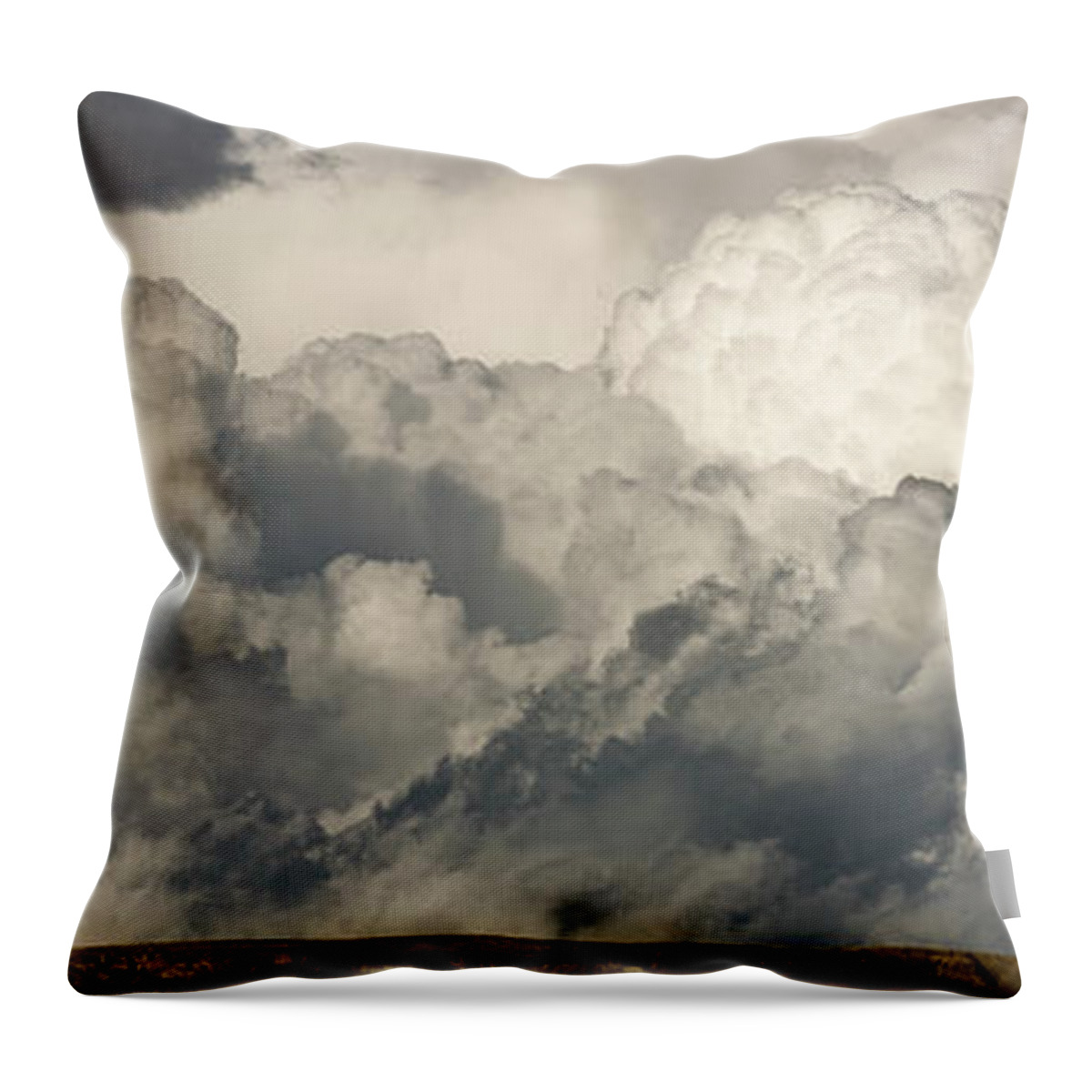 00431112 Throw Pillow featuring the photograph Storm And Sagebrush Desert by Yva Momatiuk John Eastcott