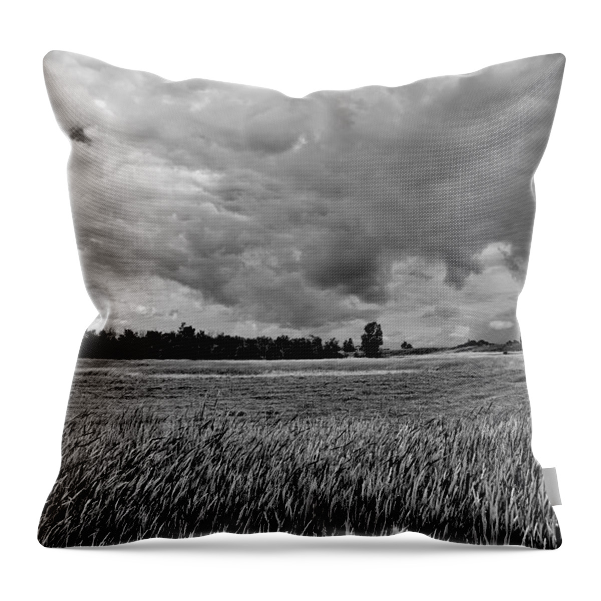 Black And White Throw Pillow featuring the photograph Storm Field - Canada by Jeremy Hall