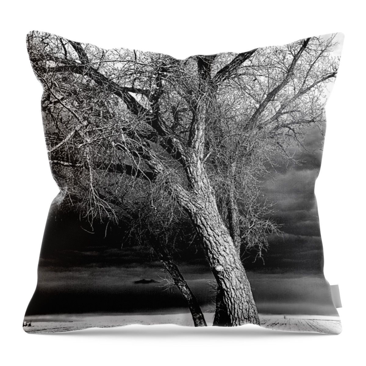 Nature Throw Pillow featuring the photograph Storm Tree by Steven Reed