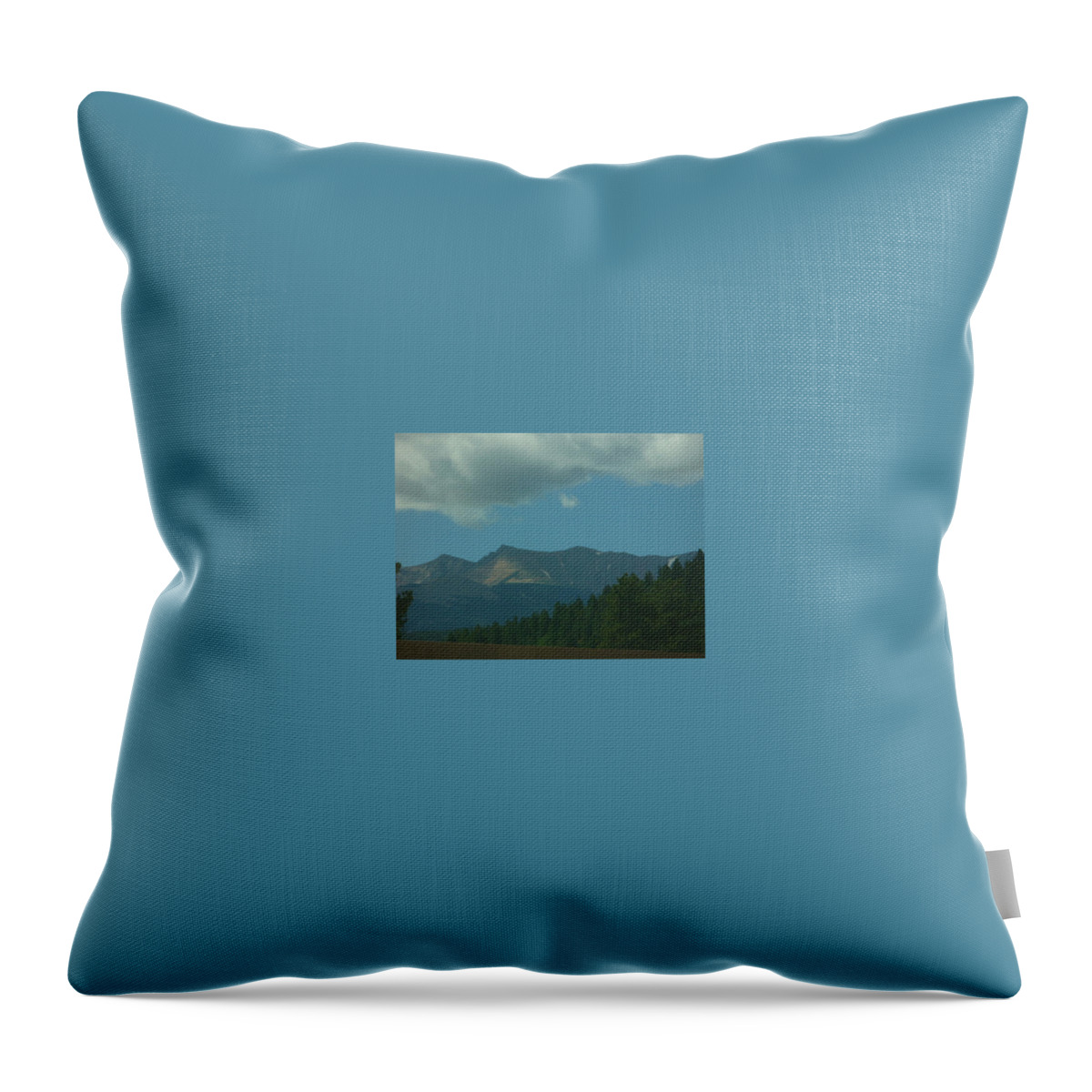 Lyle Throw Pillow featuring the painting Storms Coming by Frederick Lyle Morris - Disabled Veteran