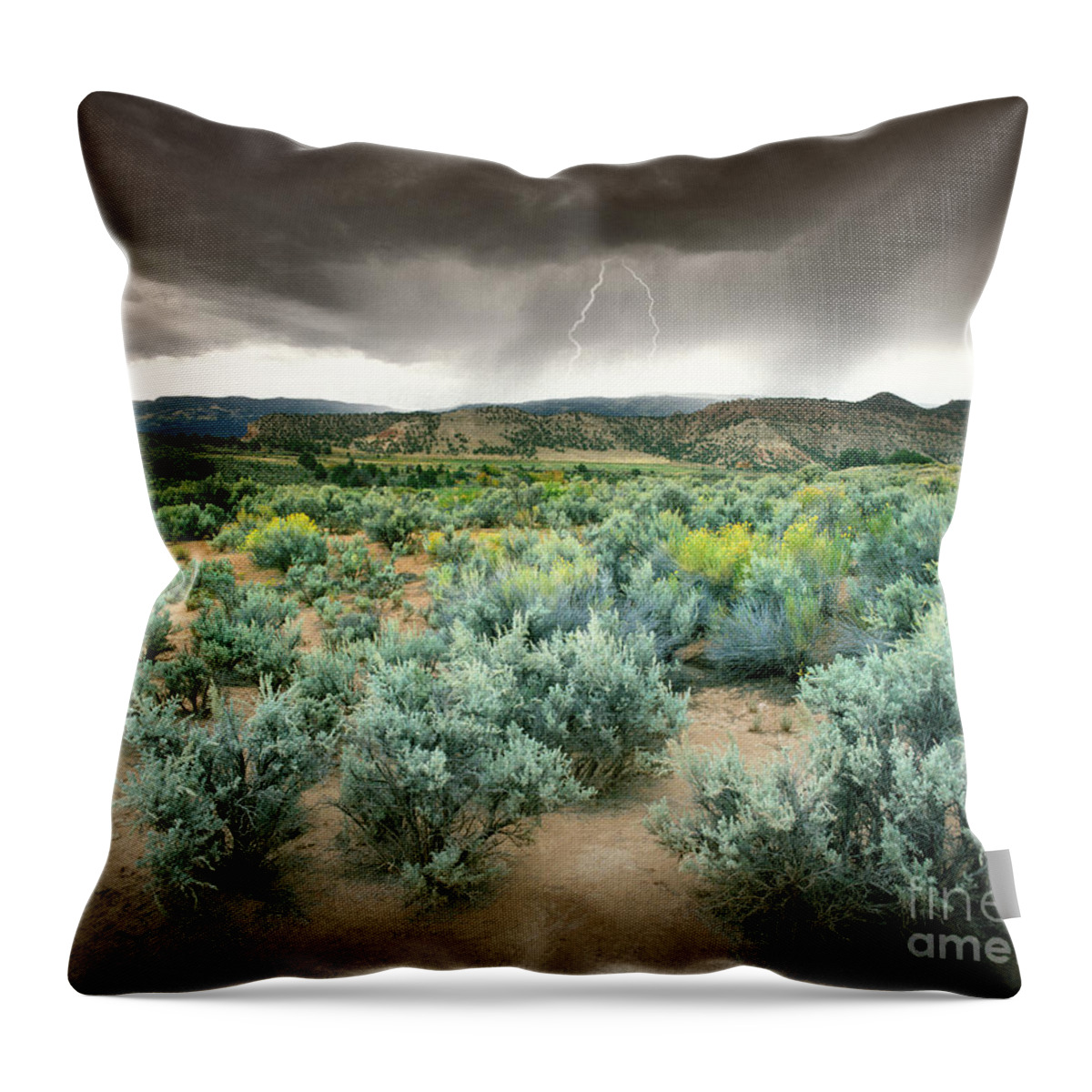 Usa Throw Pillow featuring the photograph Storms Never Last by Edmund Nagele FRPS