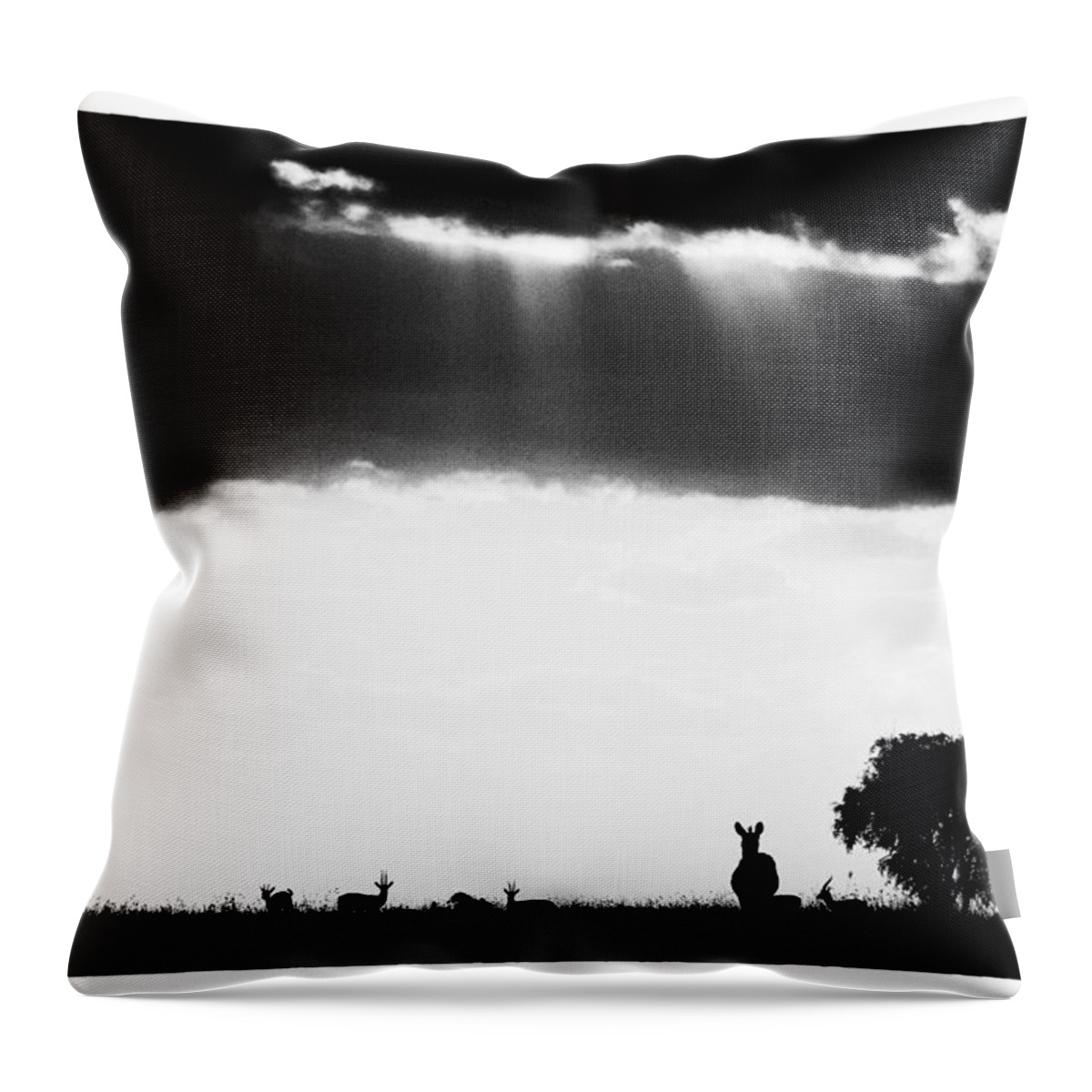 Africa Throw Pillow featuring the photograph Stormy Silhoettes by Mike Gaudaur