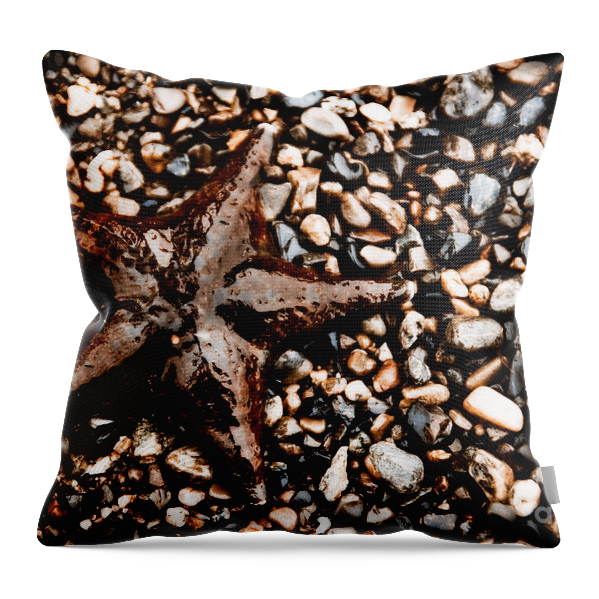 Beauty In Nature Throw Pillow featuring the photograph Stranded Sea Star by Venetta Archer
