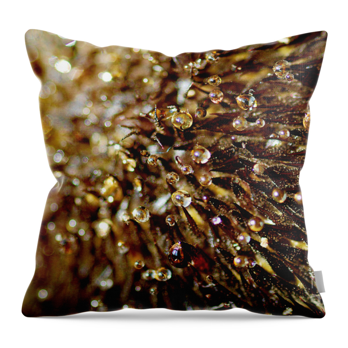 Strange Throw Pillow featuring the photograph Strange by Wendy Wilton