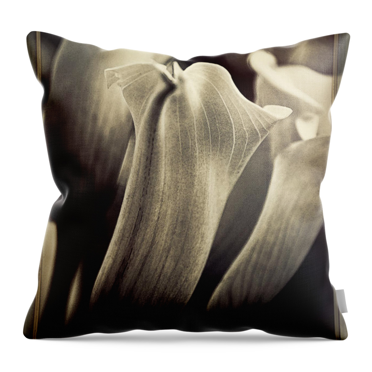 Floral Throw Pillow featuring the photograph Strays by Darlene Kwiatkowski