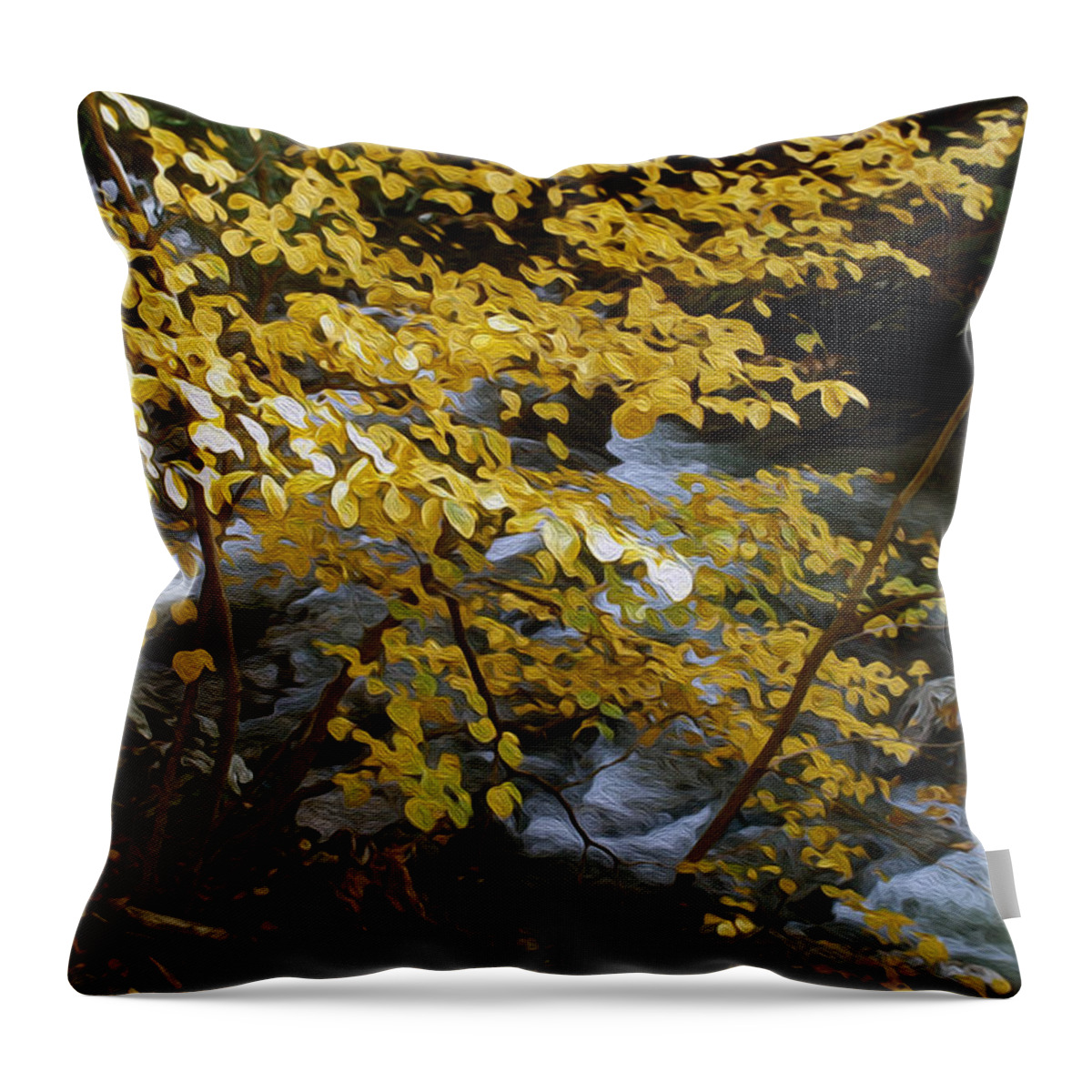 Manhattan Throw Pillow featuring the photograph Stream by Yue Wang