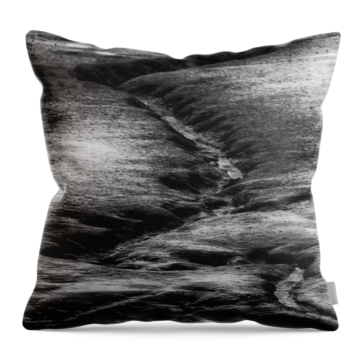 Pool Throw Pillow featuring the photograph Streaming To The Pool by Robert Woodward