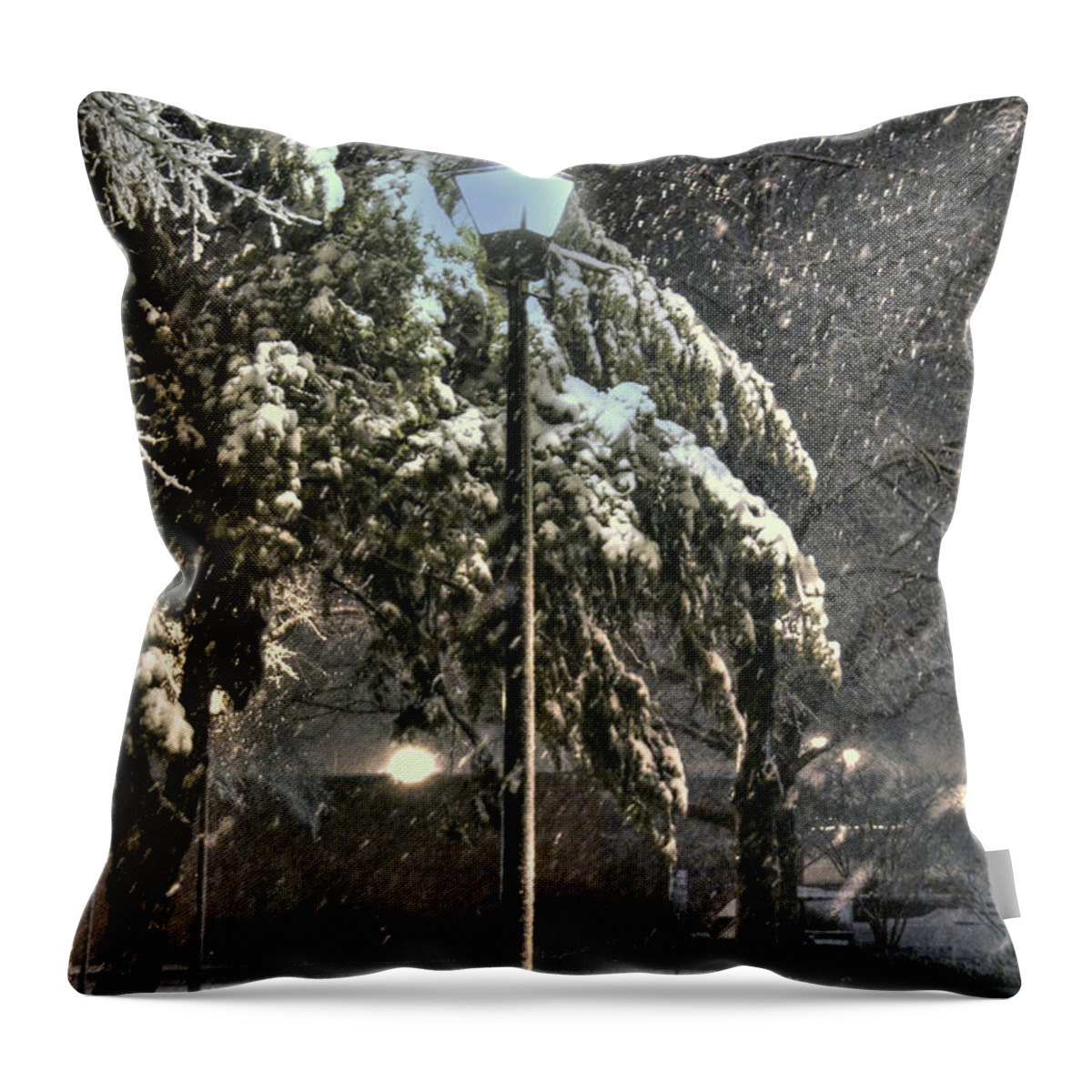 Street Lamp Throw Pillow featuring the photograph Street Lamp in the Snow by Benanne Stiens