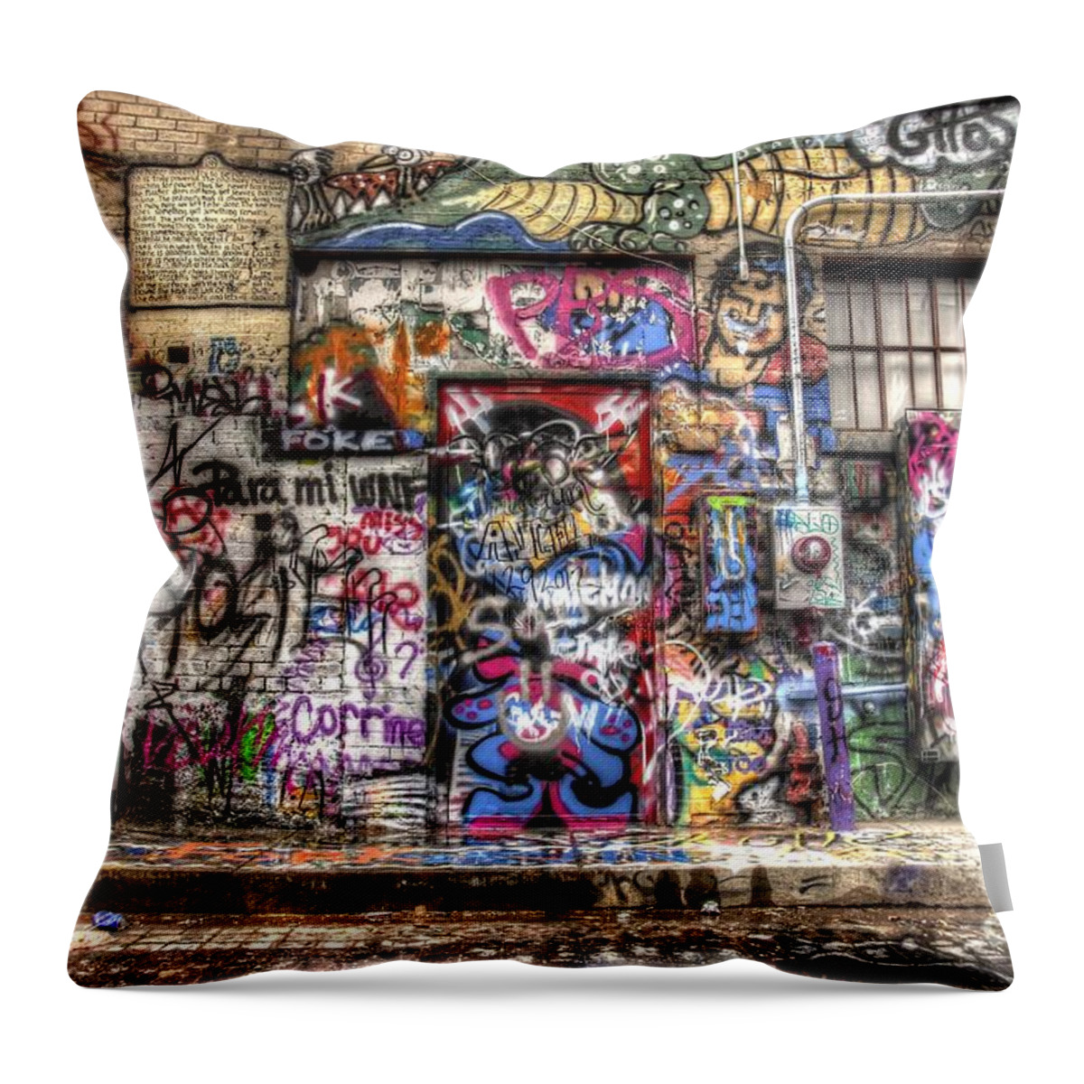 Graffiti Throw Pillow featuring the photograph Street Life by Anthony Wilkening