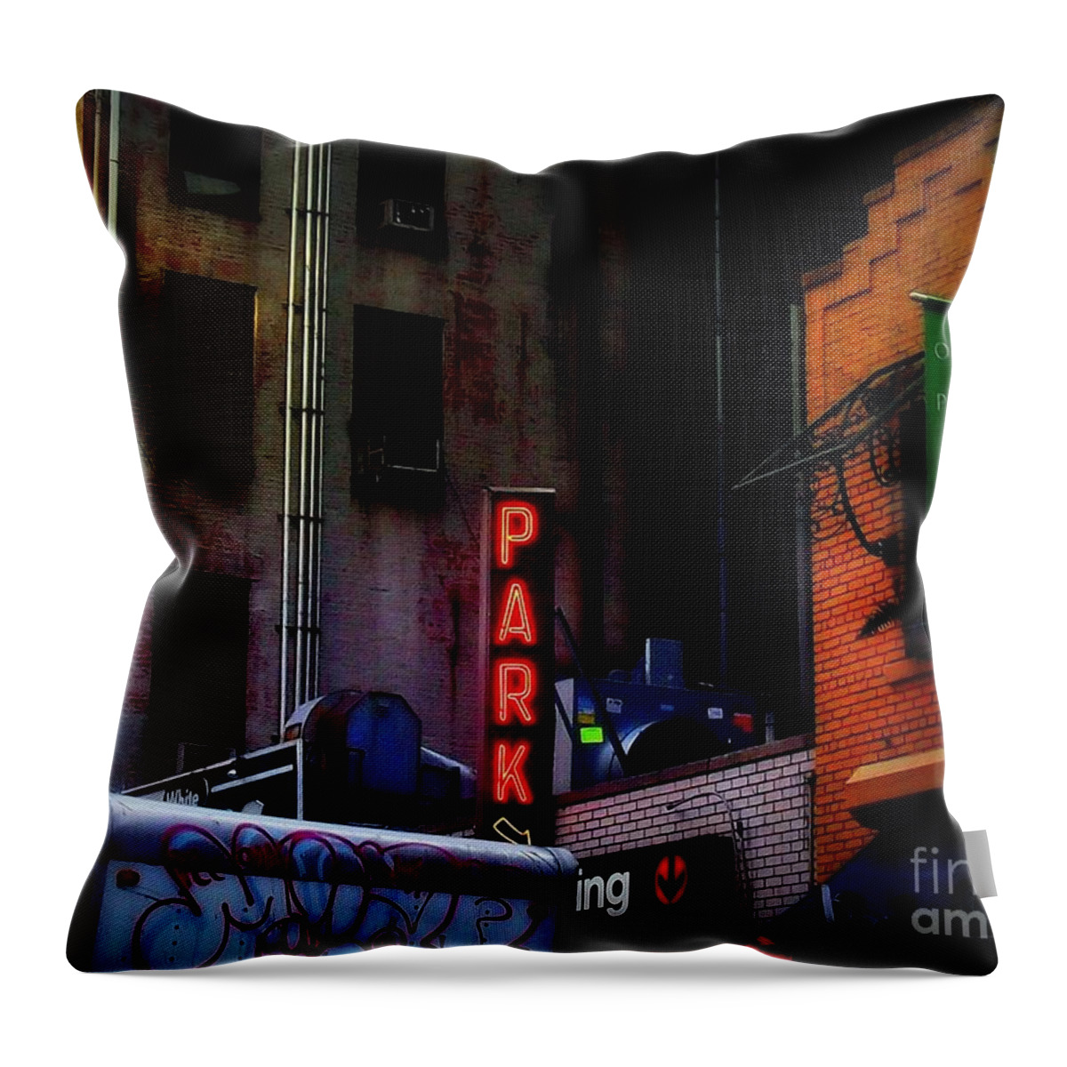 Parking Sign Throw Pillow featuring the photograph Graffiti and Grand Old Buildings by Miriam Danar