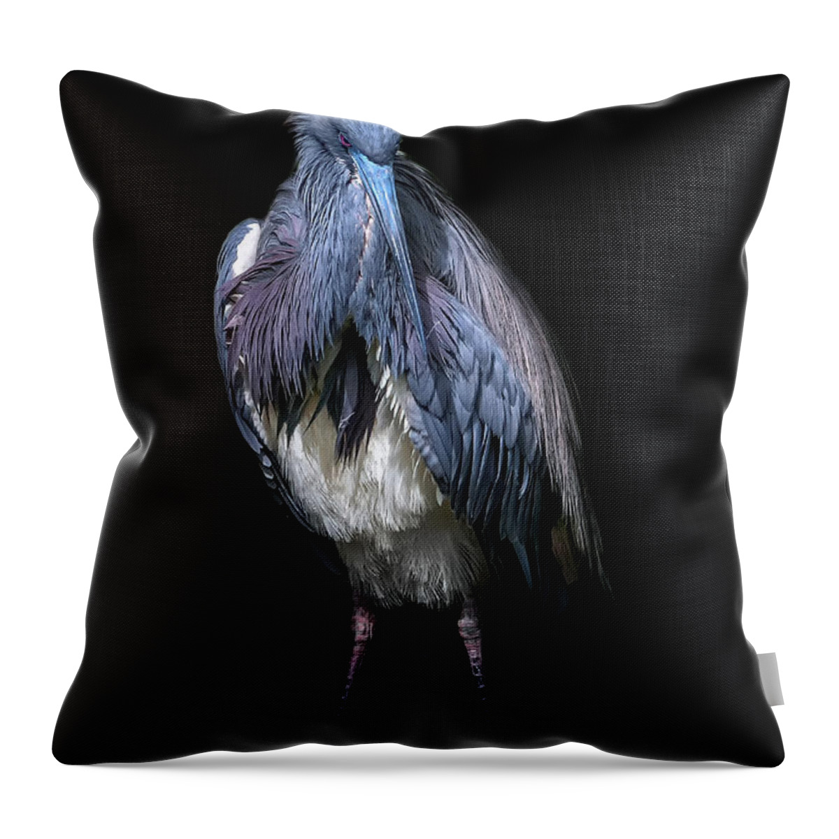 Crystal Yingling Throw Pillow featuring the photograph Strike A Pose by Ghostwinds Photography