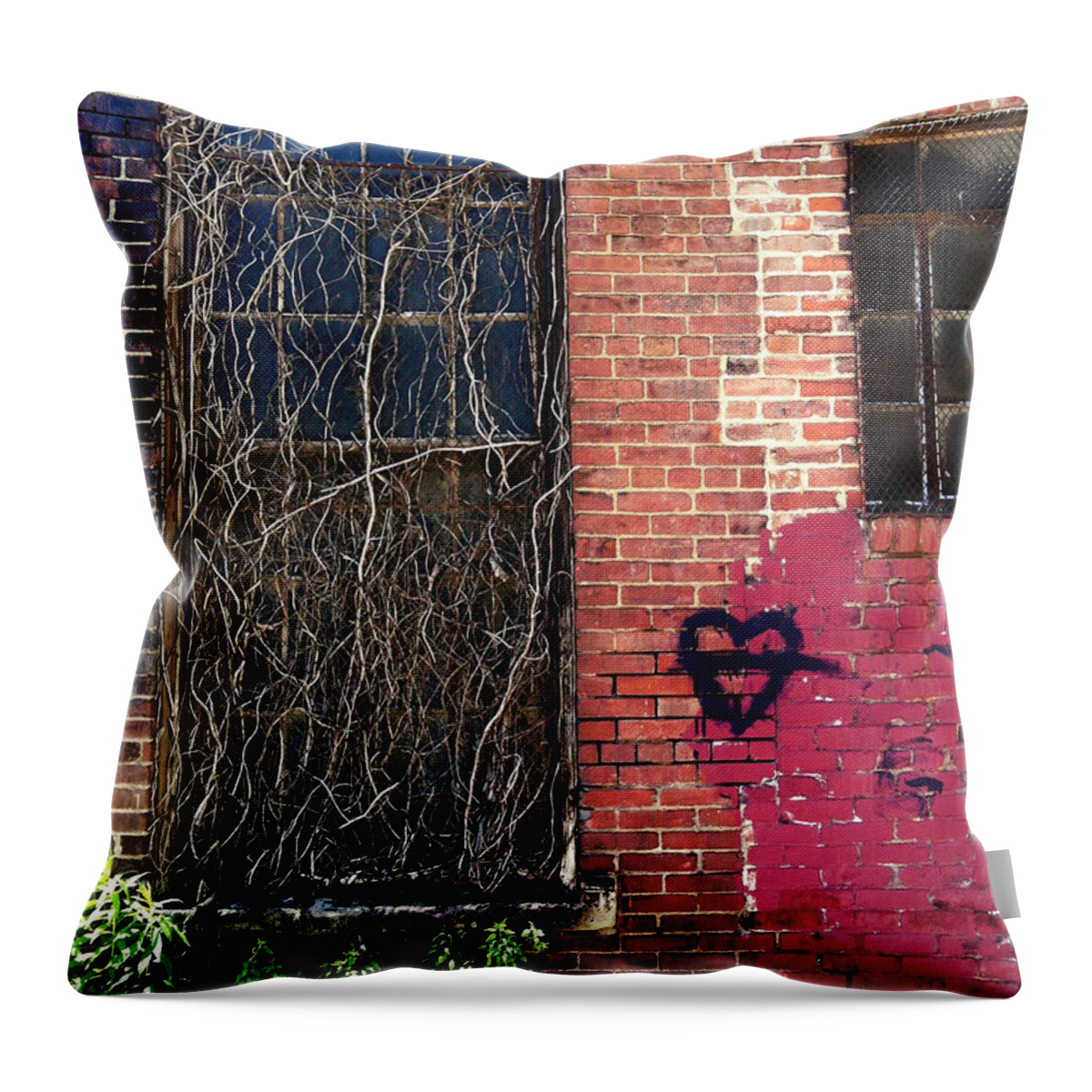 Door Throw Pillow featuring the photograph Strip District Doorway Number Five by Amy Cicconi