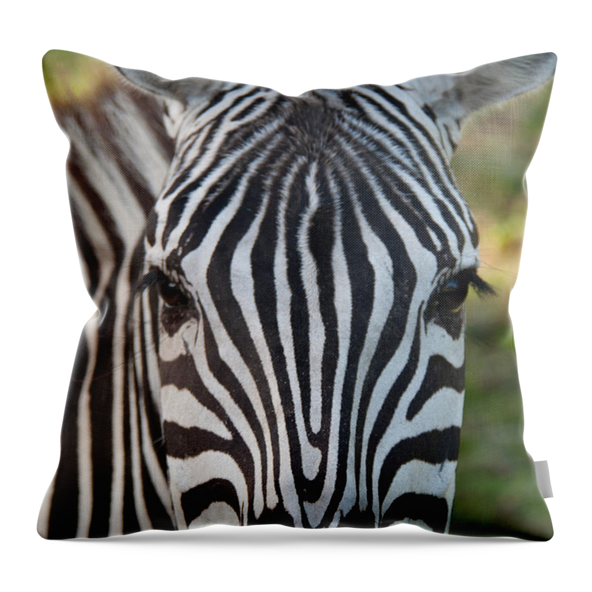 Zebra Throw Pillow featuring the photograph Stripes by John Black