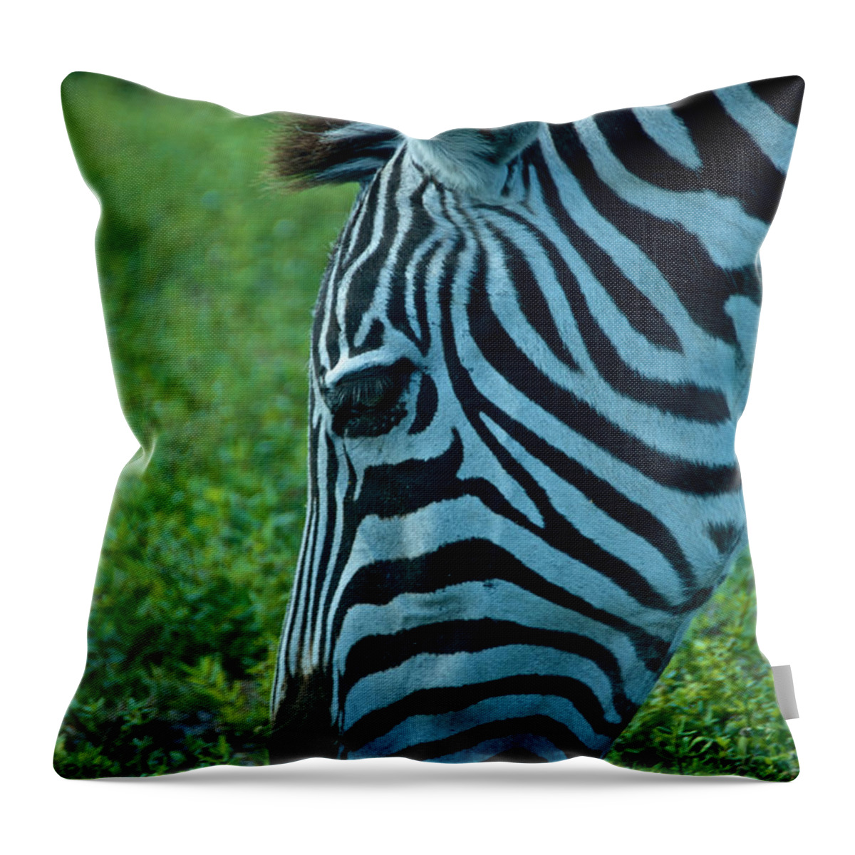 Alligators Throw Pillow featuring the photograph Stripes by Kathi Isserman