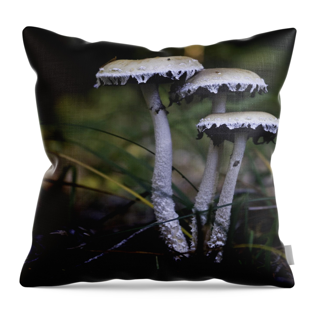 Stropharia Ambigua Throw Pillow featuring the photograph Stropharia ambigua by Betty Depee