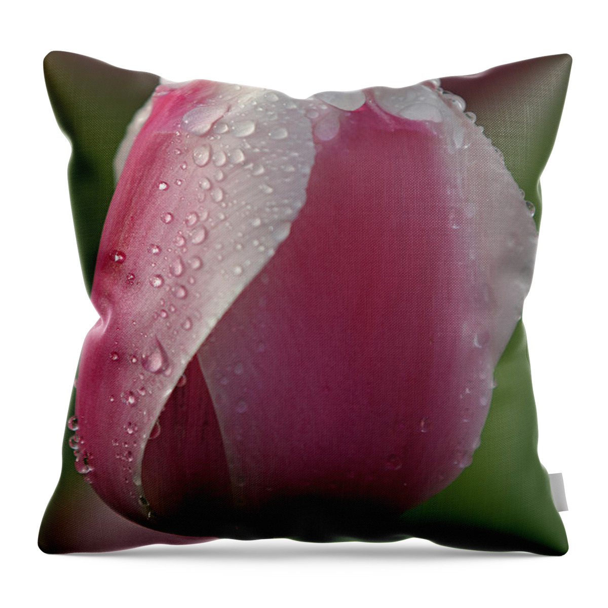 Tulip Throw Pillow featuring the photograph Stubborn Love by Juergen Roth