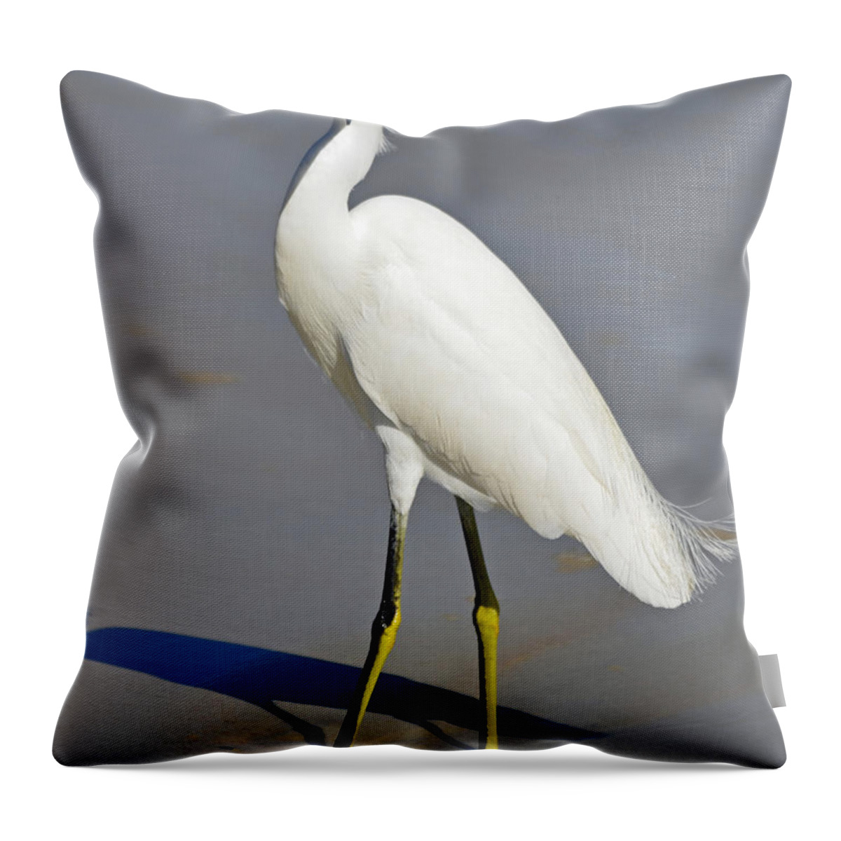 Egret Throw Pillow featuring the photograph Stuck in the Sand by Lori Tambakis