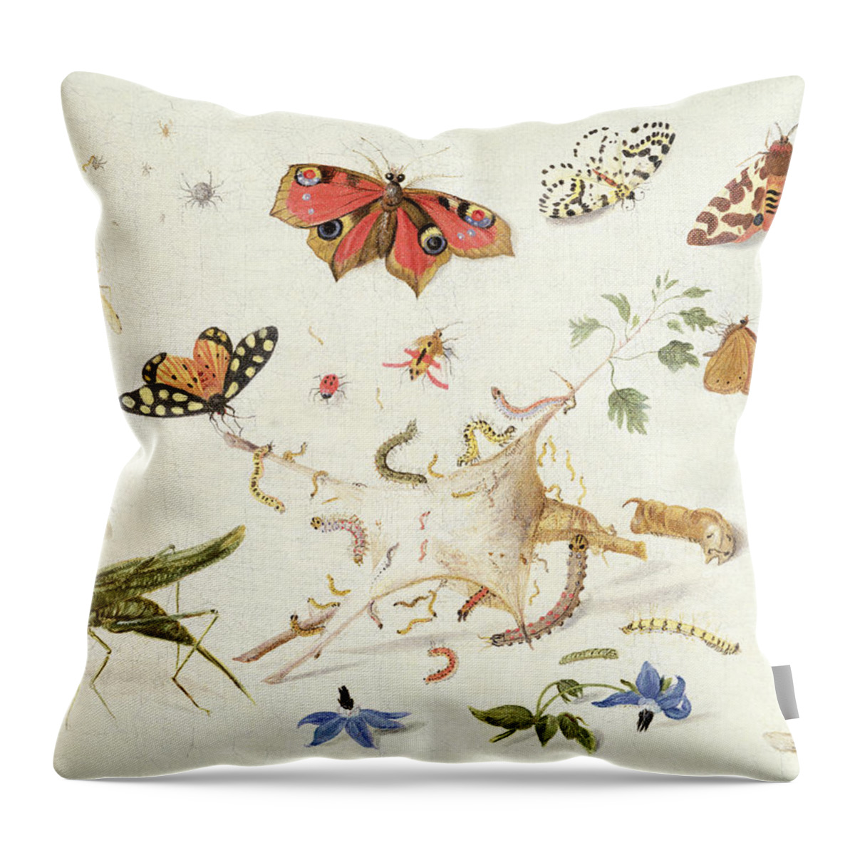 Insect Throw Pillow featuring the painting Study of Insects and Flowers by Ferdinand van Kessel