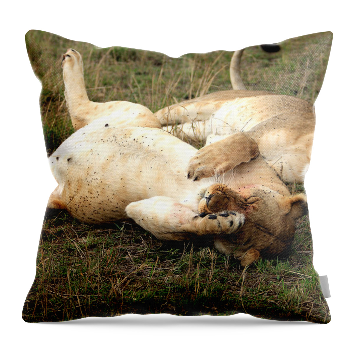 Lion Throw Pillow featuring the photograph Stuffed by Aidan Moran