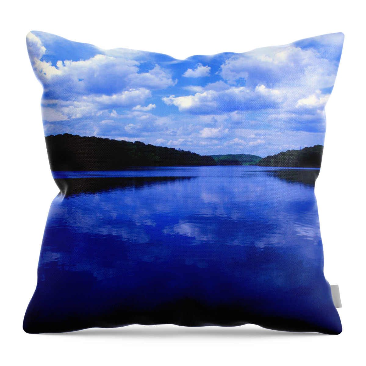 Water Throw Pillow featuring the photograph Stumpy Pond 04A by Andy Lawless