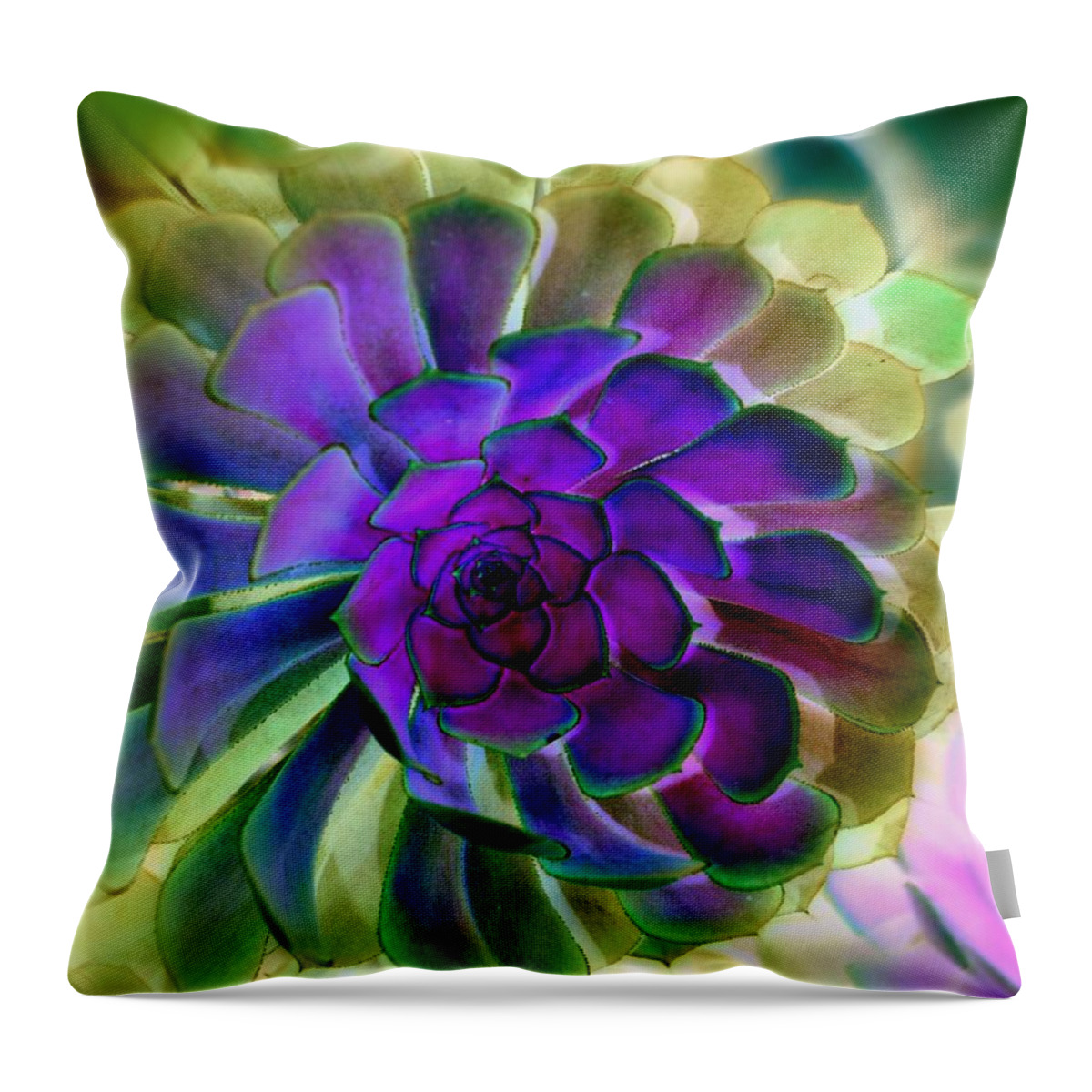 Succulent Throw Pillow featuring the photograph Succulent Transformation by Antonia Citrino