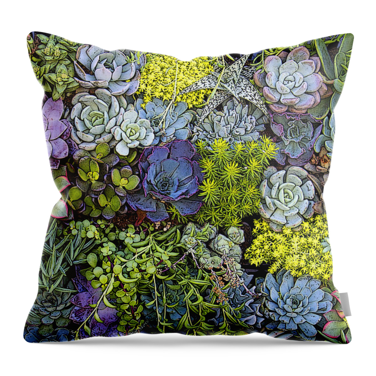 Succulent Throw Pillow featuring the photograph Succulent Wall by Andre Aleksis