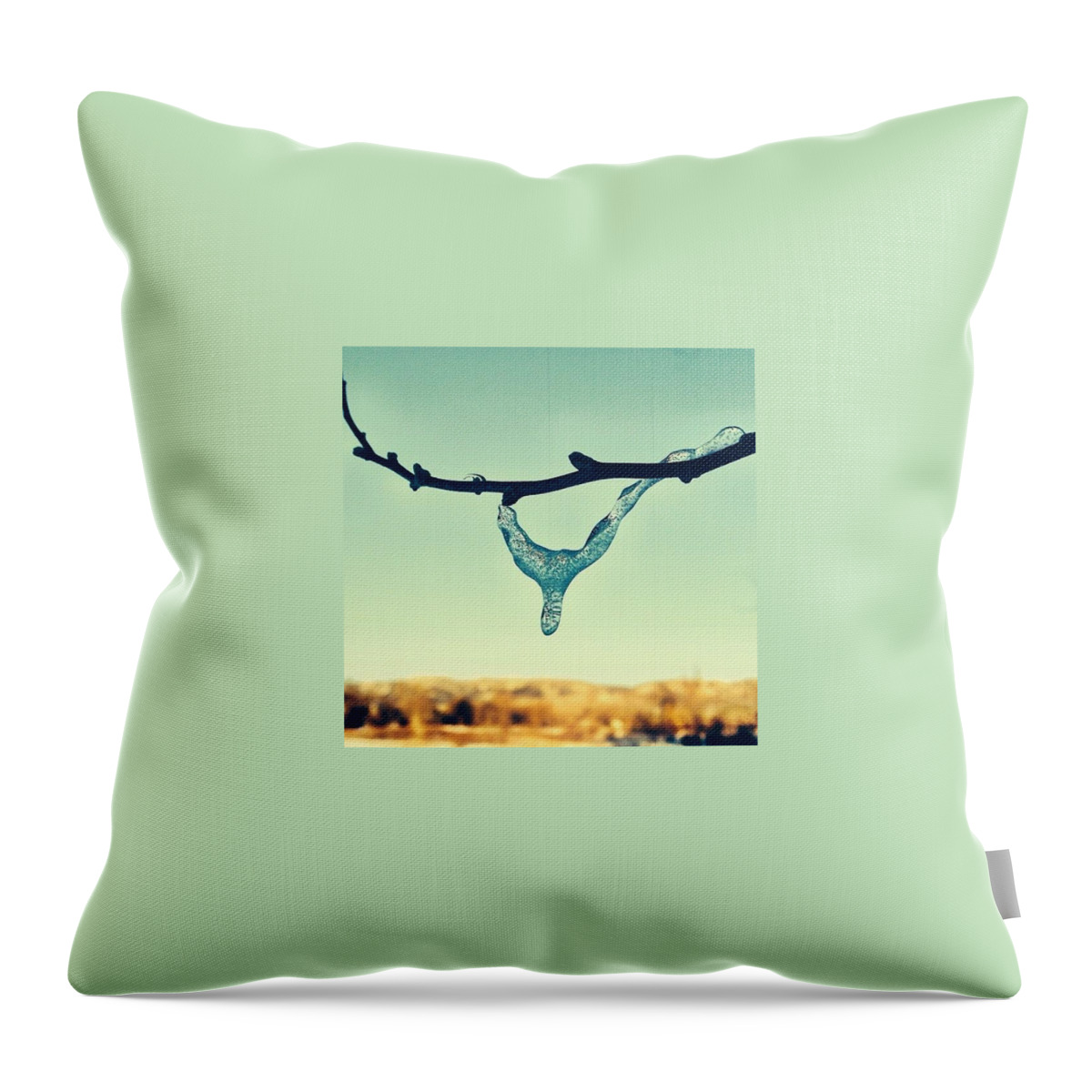 Fortcollins Throw Pillow featuring the photograph Such A Beautiful But Cold Morning Here by Madison Dragna
