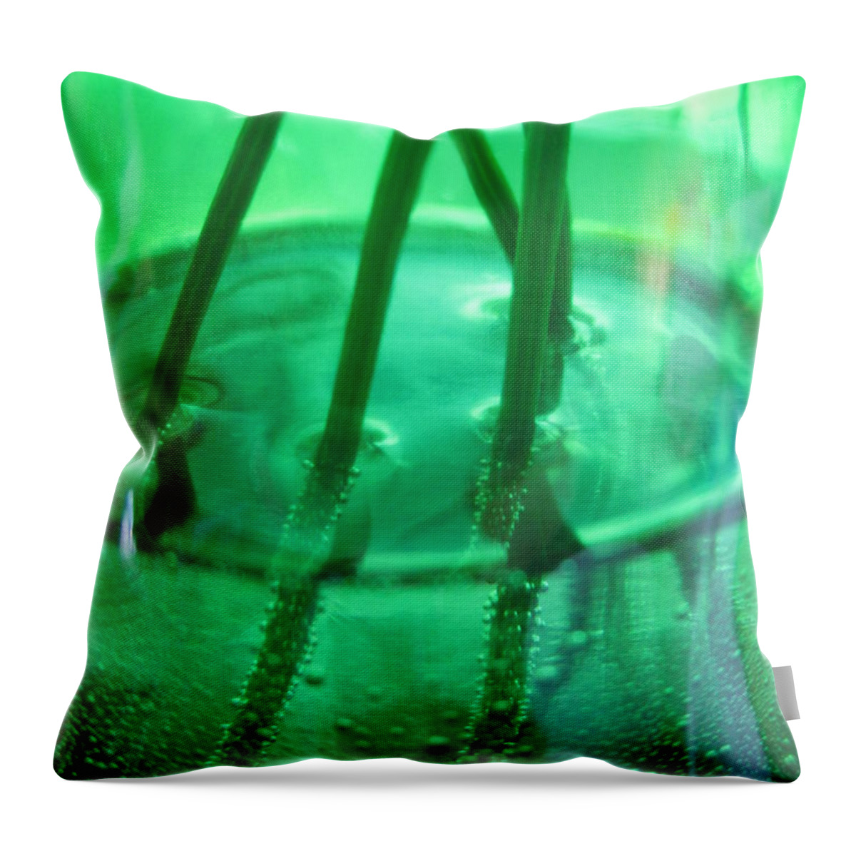 Summer Throw Pillow featuring the photograph Sucking Up by Martin Howard