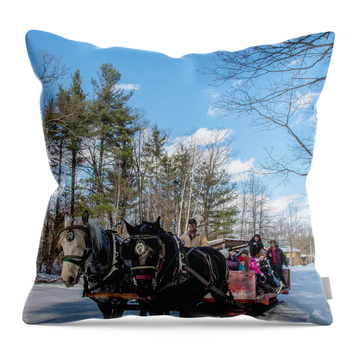 Maple Sugar Throw Pillow featuring the photograph Sugar Bush Horse Ride by Cheryl Baxter
